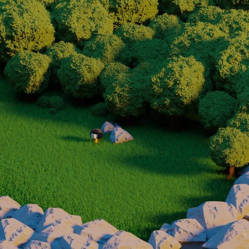 Une forêt
