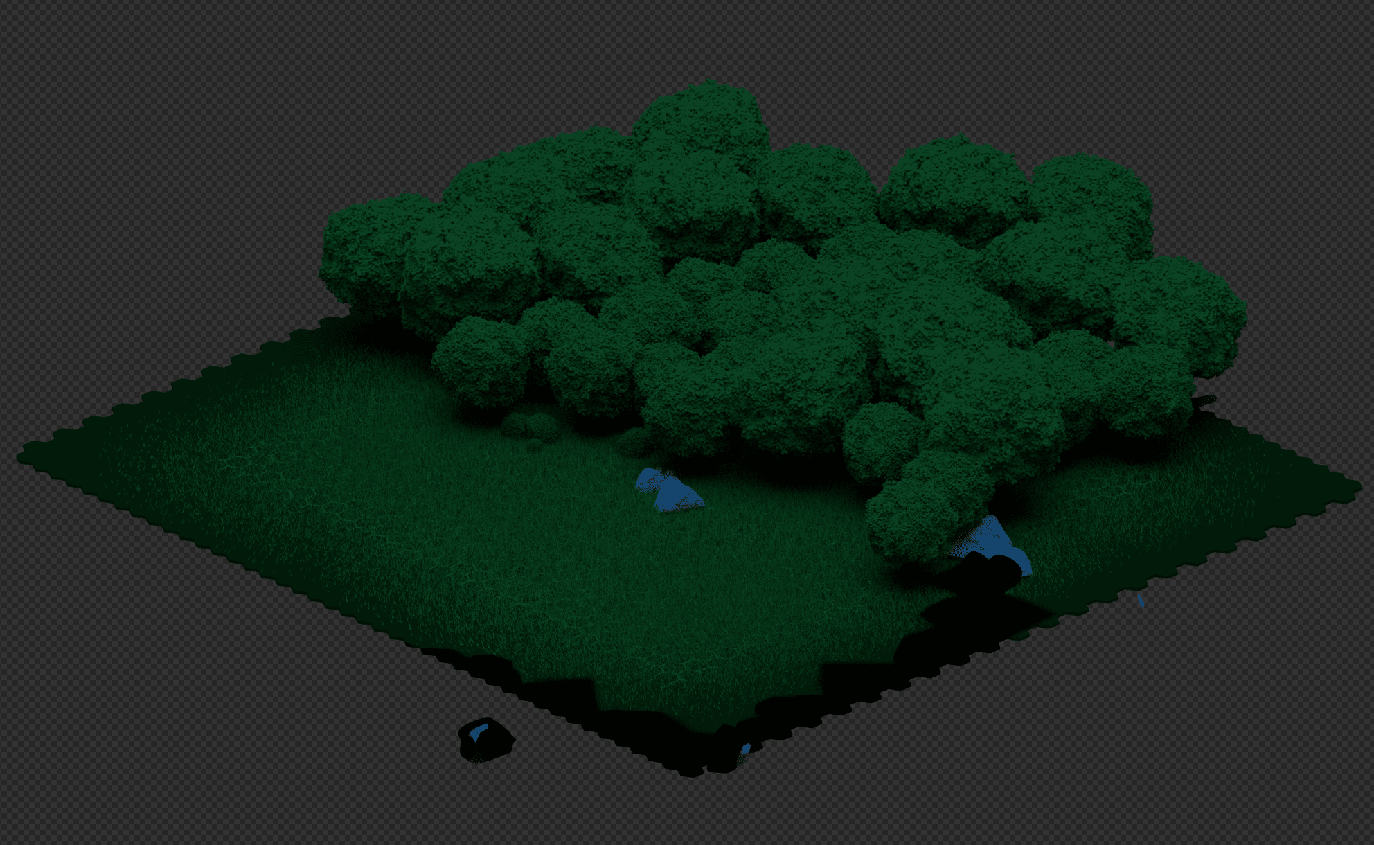 Une forêt