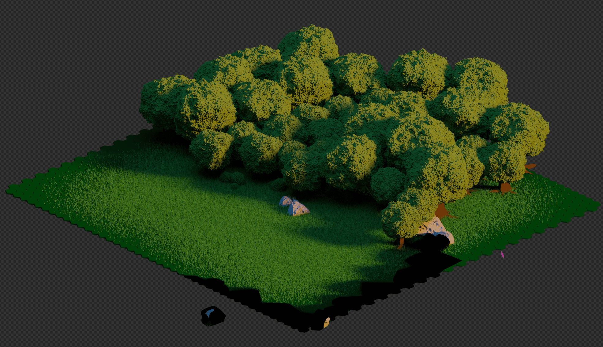 Une forêt